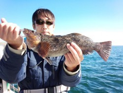 MATSUSHIMA SEANET 釣果