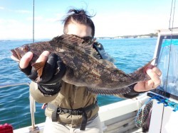 MATSUSHIMA SEANET 釣果