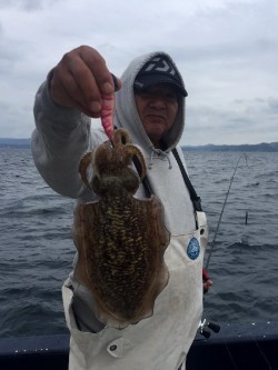 ゲームフィッシング バレントン 釣果