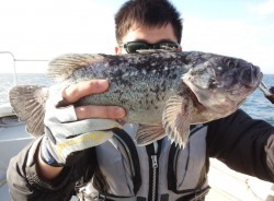 MATSUSHIMA SEANET 釣果