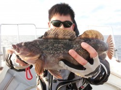 MATSUSHIMA SEANET 釣果