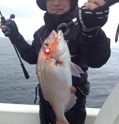 NineBlue 釣果