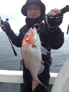 NineBlue 釣果