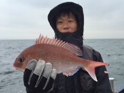 ゲームフィッシング バレントン 釣果