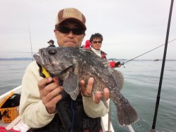 MATSUSHIMA SEANET 釣果