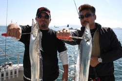 松本釣船２ 釣果