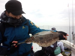 MATSUSHIMA SEANET 釣果