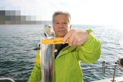 松本釣船２ 釣果