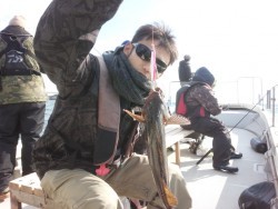 MATSUSHIMA SEANET 釣果