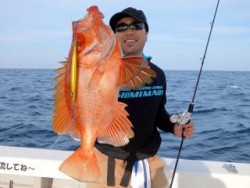 芳美丸 釣果