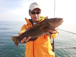 MATSUSHIMA SEANET 釣果