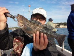 MATSUSHIMA SEANET 釣果