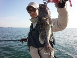 MATSUSHIMA SEANET 釣果