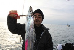 松本釣船２ 釣果