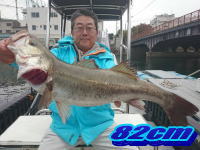 オーシャンマスター 釣果