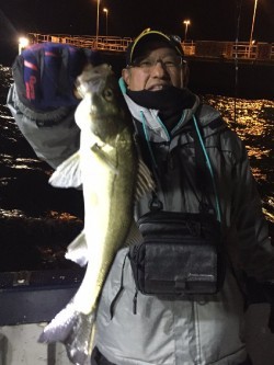 ゲームフィッシング バレントン 釣果