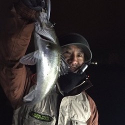 ゲームフィッシング バレントン 釣果