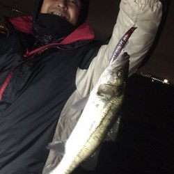 ゲームフィッシング バレントン 釣果