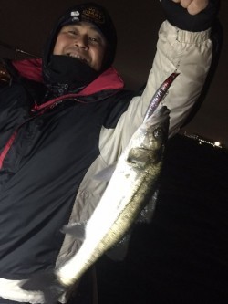 ゲームフィッシング バレントン 釣果