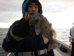 MATSUSHIMA SEANET 釣果