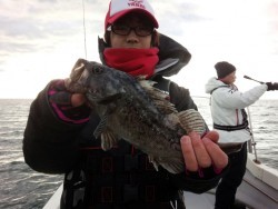 MATSUSHIMA SEANET 釣果