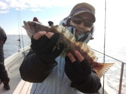 MATSUSHIMA SEANET 釣果