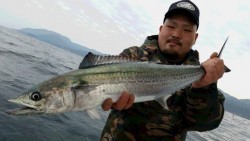 つれ鷹丸 釣果