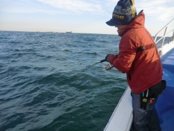 ＢＩＧ－ＯＮＥ 釣果