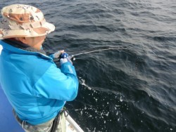 ＢＩＧ－ＯＮＥ 釣果