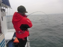 ＢＩＧ－ＯＮＥ 釣果