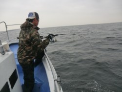 ＢＩＧ－ＯＮＥ 釣果