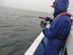 ＢＩＧ－ＯＮＥ 釣果