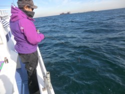 ＢＩＧ－ＯＮＥ 釣果