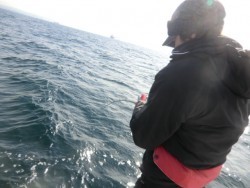 ＢＩＧ－ＯＮＥ 釣果