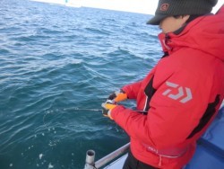 ＢＩＧ－ＯＮＥ 釣果