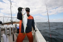 オーシャンズ 釣果