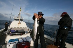 オーシャンズ 釣果