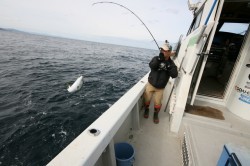 オーシャンズ 釣果