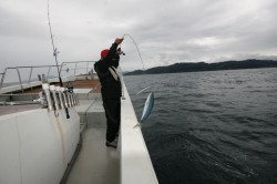 オーシャンズ 釣果