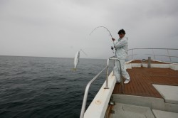 オーシャンズ 釣果