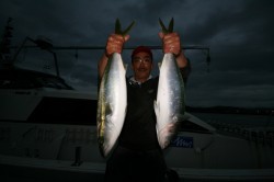 オーシャンズ 釣果