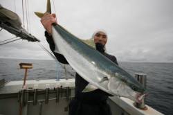 オーシャンズ 釣果