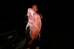 オーシャンズ 釣果