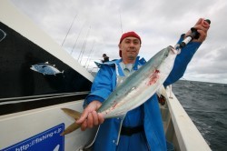 オーシャンズ 釣果