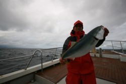 オーシャンズ 釣果