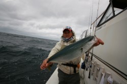 オーシャンズ 釣果