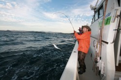 オーシャンズ 釣果