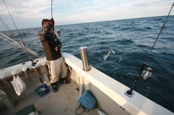 オーシャンズ 釣果