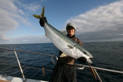 オーシャンズ 釣果