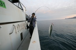 オーシャンズ 釣果